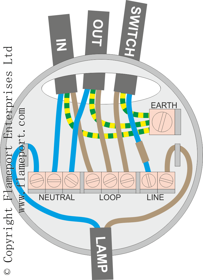 Looped Ceiling Rose light kit pull chain switch wiring diagram 