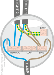 Multiple lights from a single switch